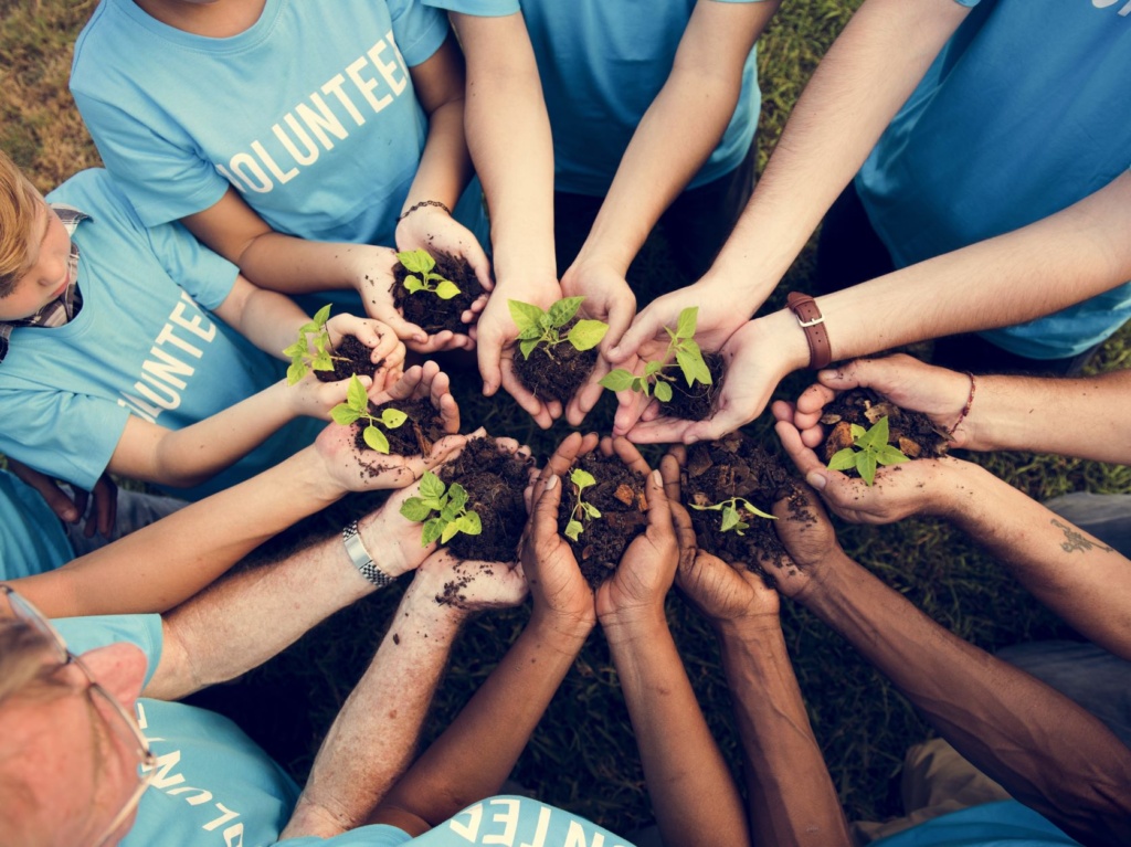 hands joining in circle. each hand is holding a sprouted plant.